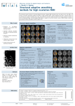 Poster on structural adaptive segmentation in fMRI at HBM 2009, San Francisco (1.4 MB PDF) Poster on fMRI at HBM 2009