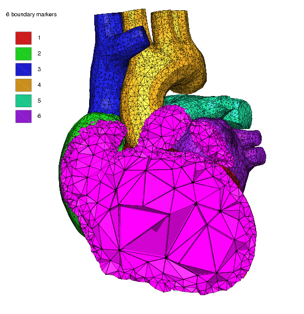 TetGen Example: Heart