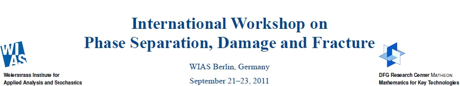 International Workshop on Phase Separation, Damage and Fracture
