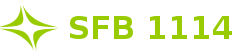 SFB1114 Logo